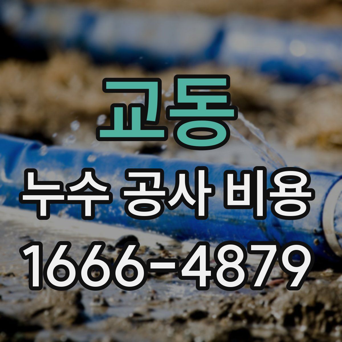 교동 누수 공사 비용