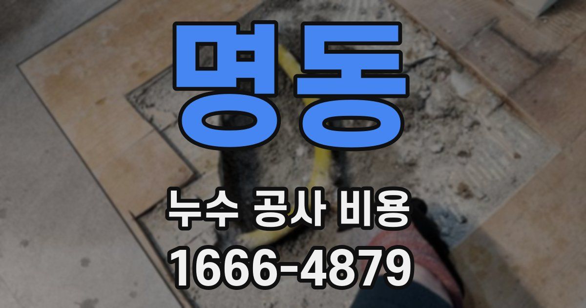 명동 누수 공사 비용
