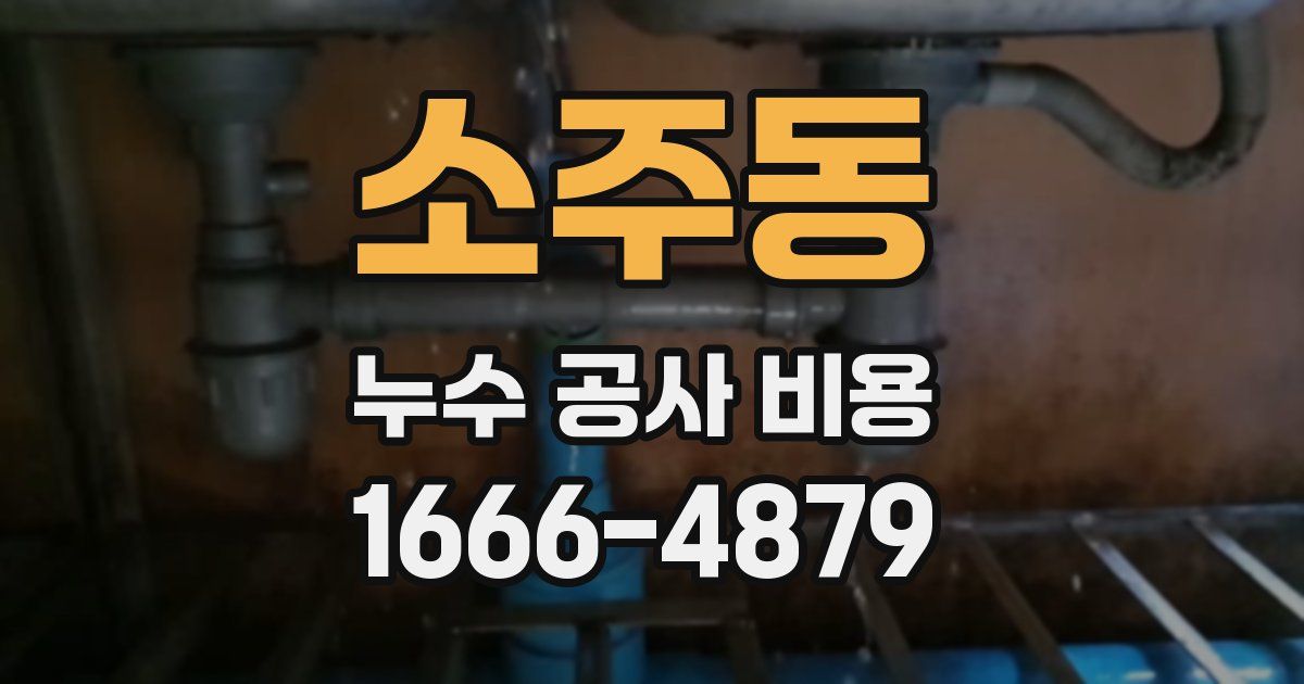 소주동 누수 공사 비용