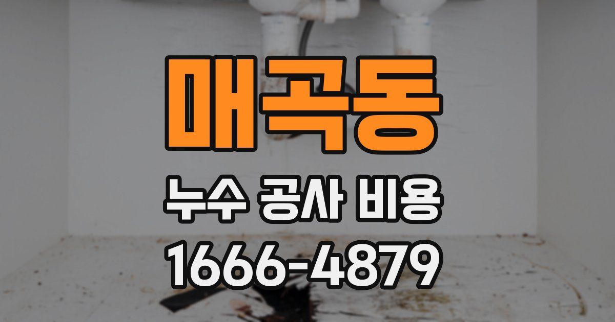 매곡동 누수 공사 비용