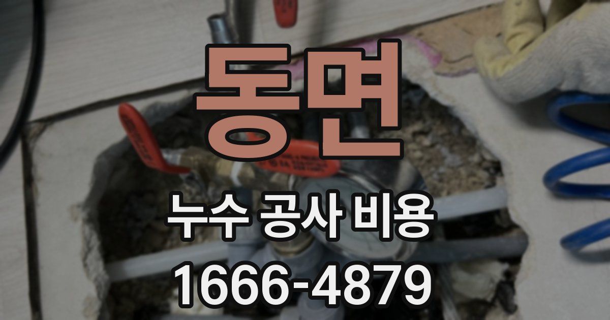 동면 누수 공사 비용