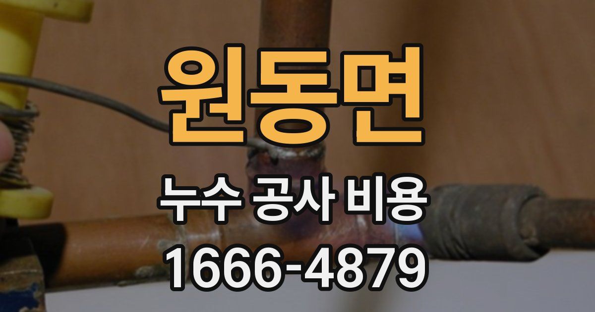 원동면 누수 공사 비용