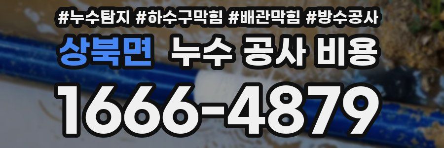상북면 누수 공사 비용