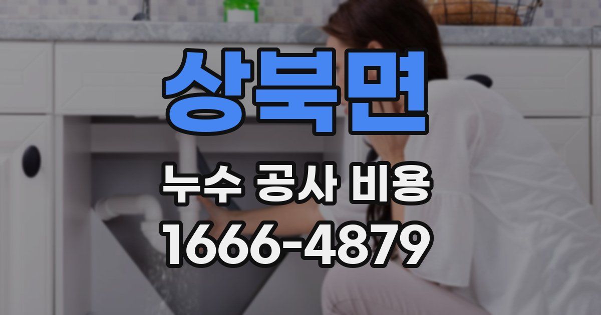 상북면 누수 공사 비용