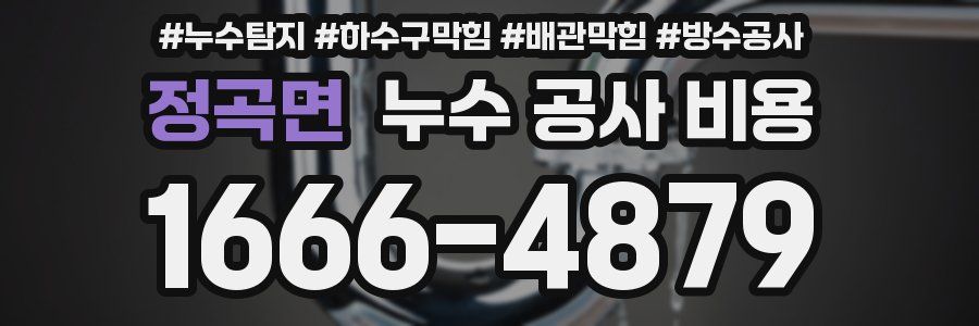 정곡면 누수 공사 비용