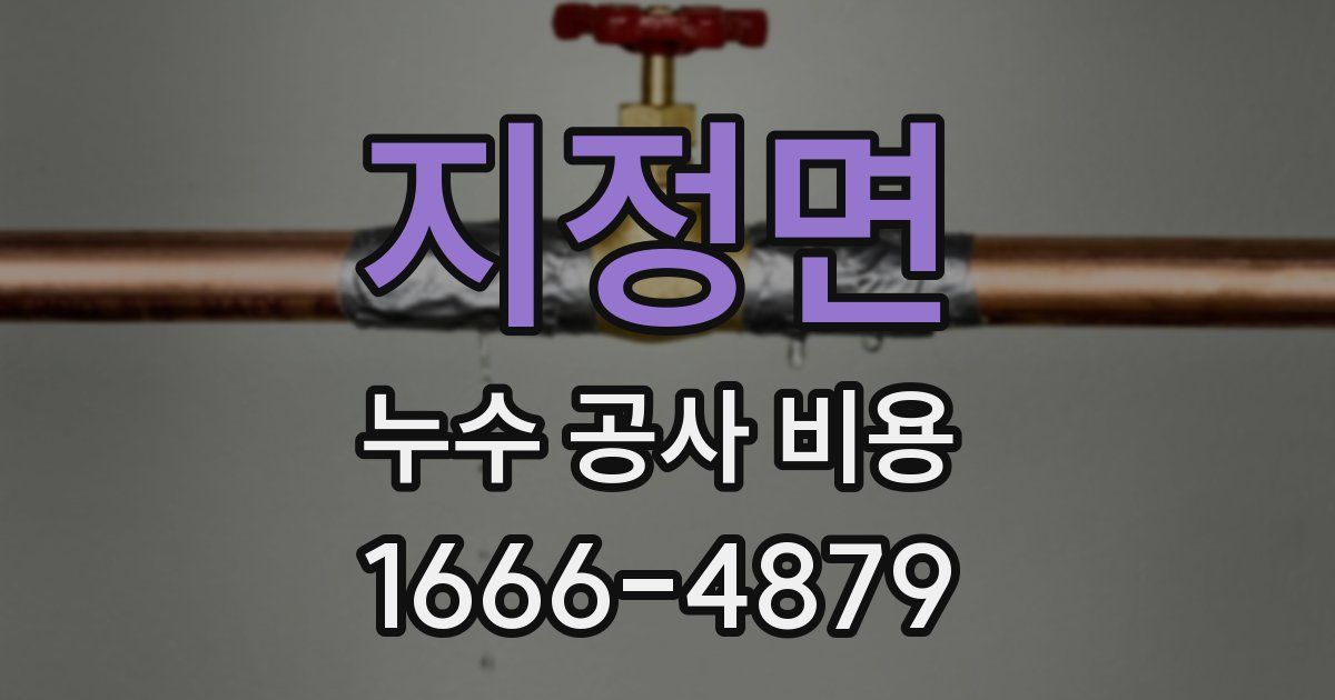 지정면 누수 공사 비용