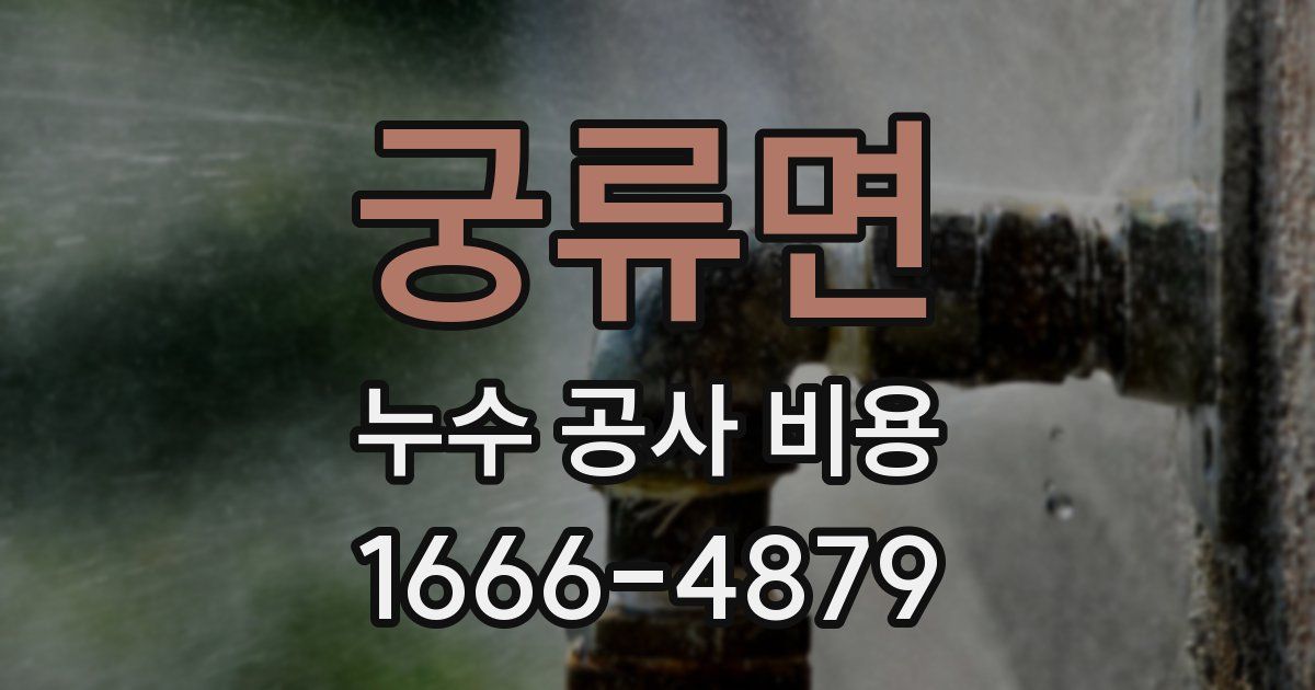 궁류면 누수 공사 비용