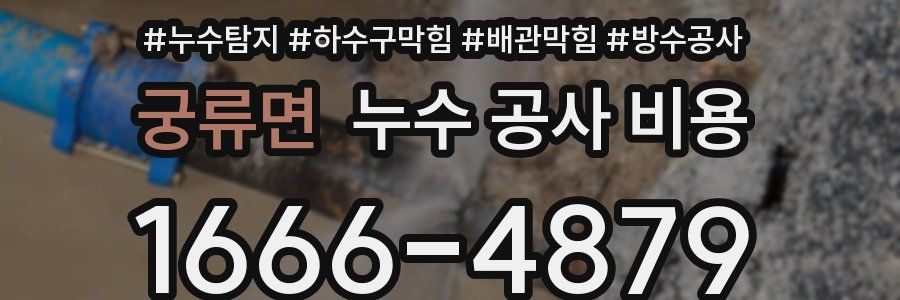 궁류면 누수 공사 비용
