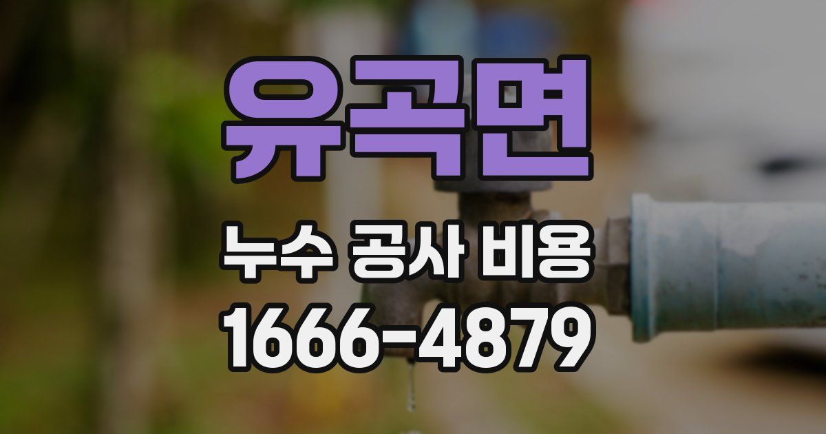 유곡면 누수 공사 비용