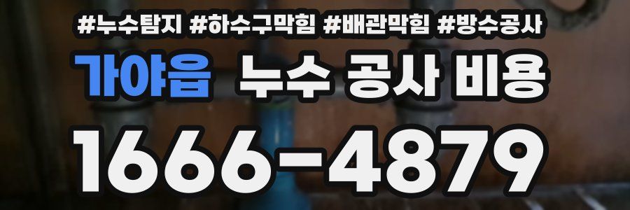 가야읍 누수 공사 비용