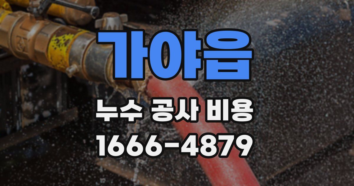 가야읍 누수 공사 비용