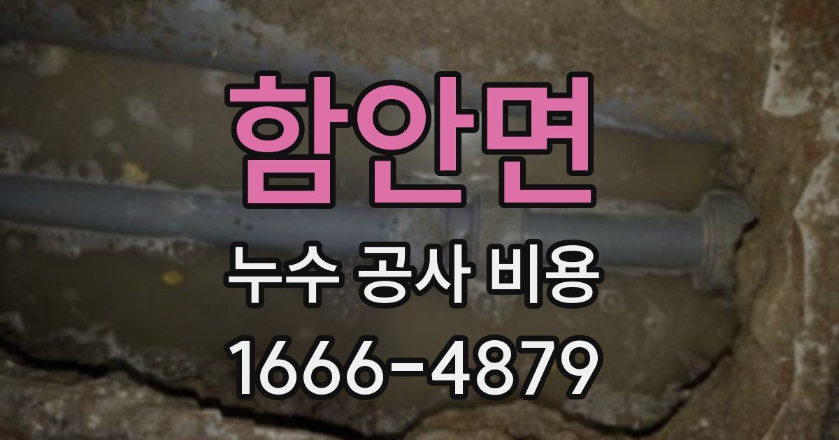 함안면 누수 공사 비용
