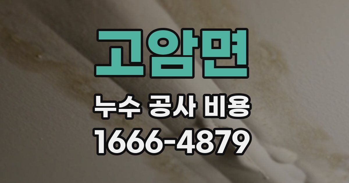 고암면 누수 공사 비용
