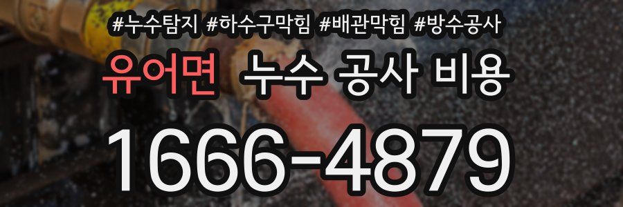 유어면 누수 공사 비용