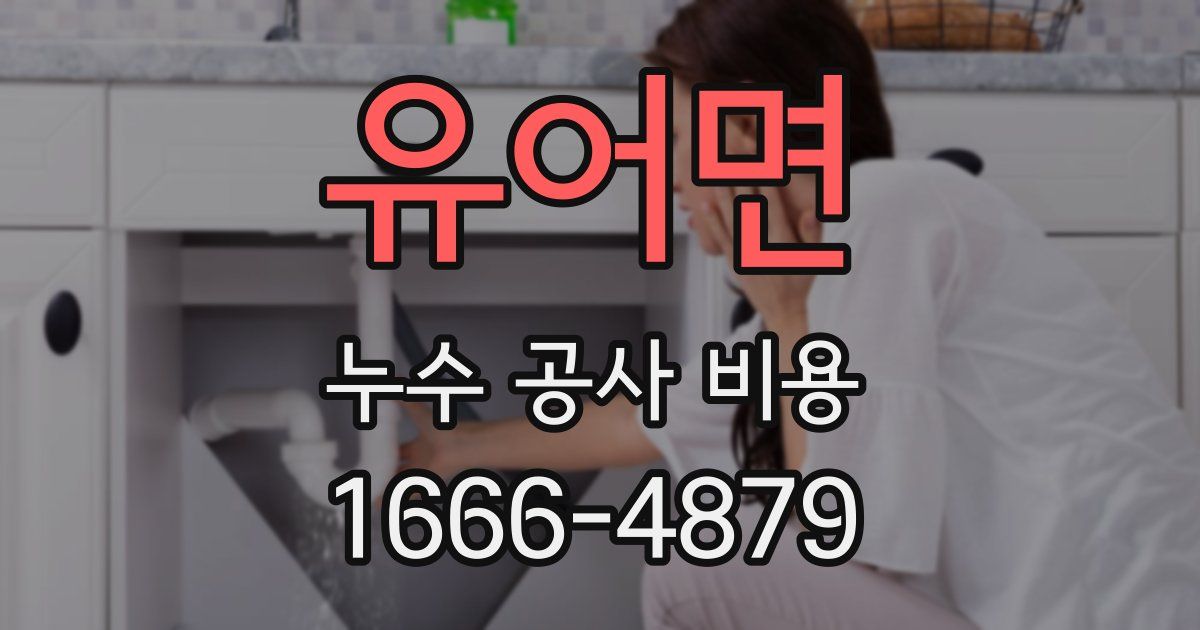 유어면 누수 공사 비용