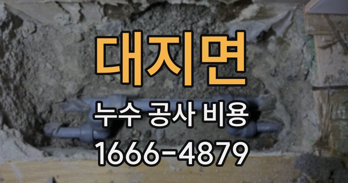 대지면 누수 공사 비용