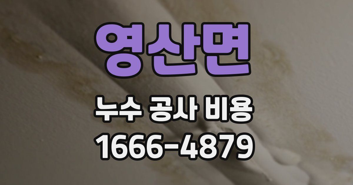 영산면 누수 공사 비용