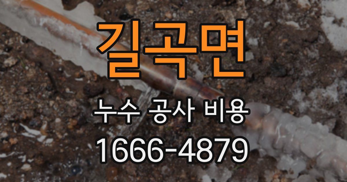 길곡면 누수 공사 비용