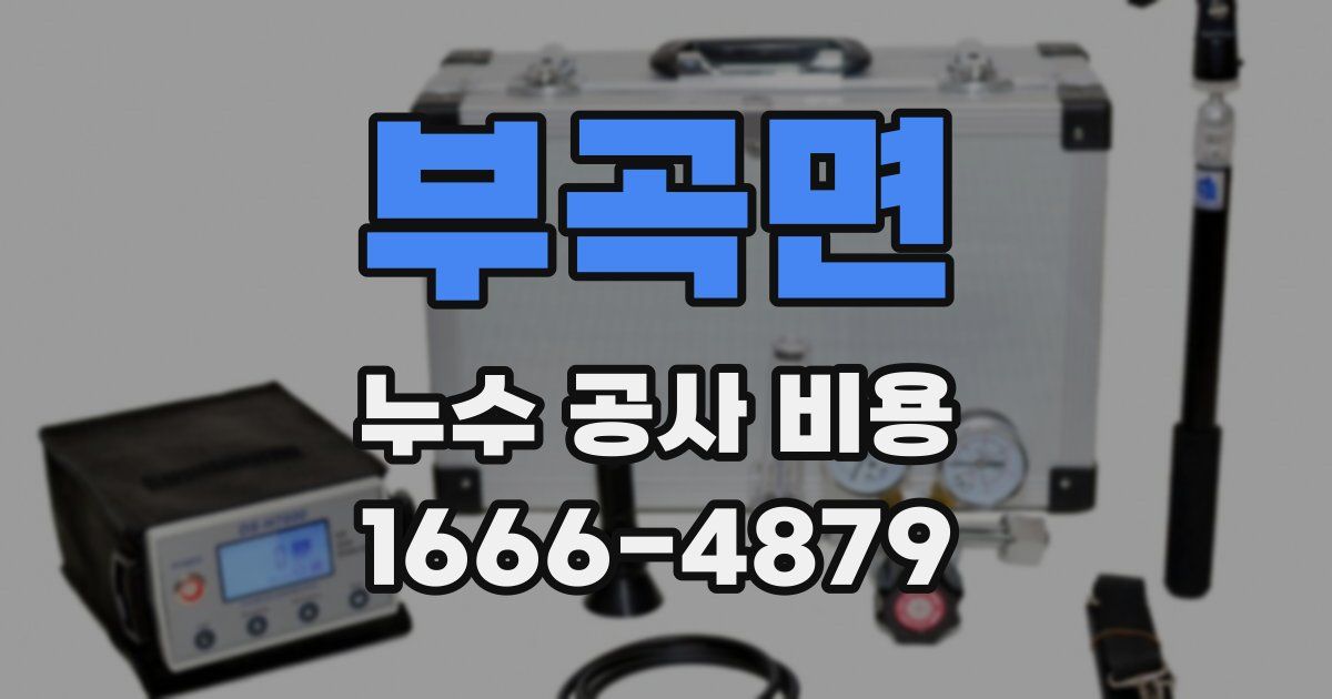 부곡면 누수 공사 비용