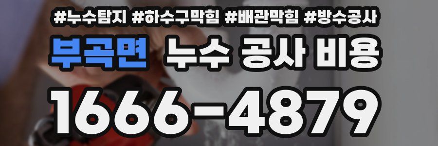 부곡면 누수 공사 비용