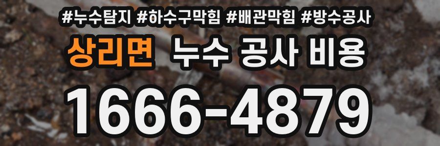 상리면 누수 공사 비용
