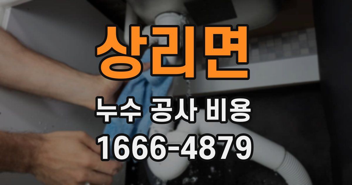 상리면 누수 공사 비용