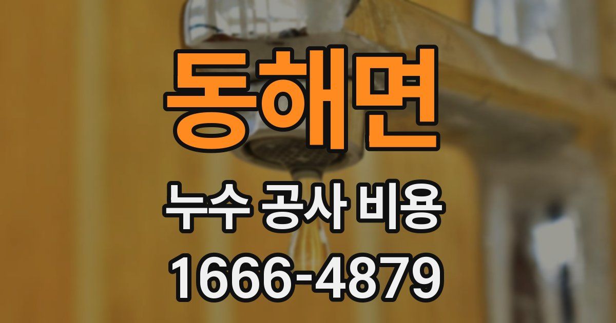동해면 누수 공사 비용