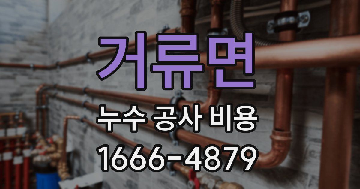 거류면 누수 공사 비용