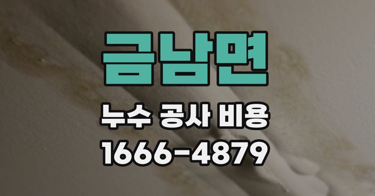 금남면 누수 공사 비용