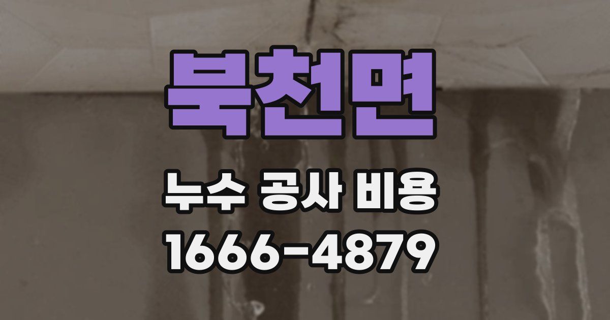 북천면 누수 공사 비용