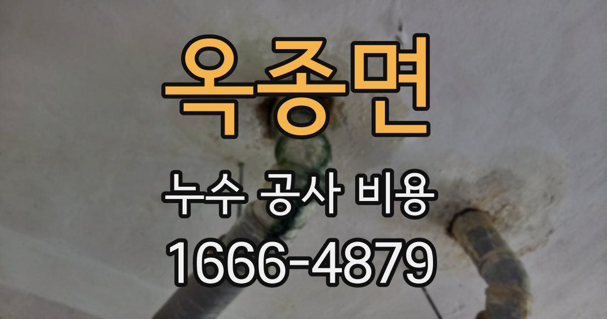 옥종면 누수 공사 비용