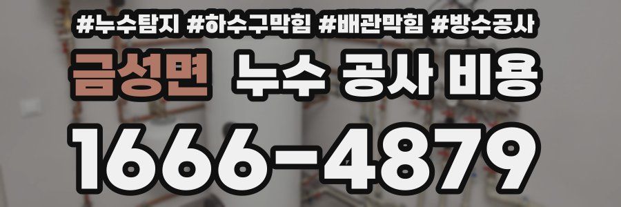 금성면 누수 공사 비용