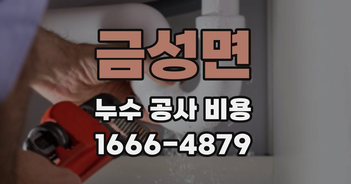 금성면 누수 공사 비용