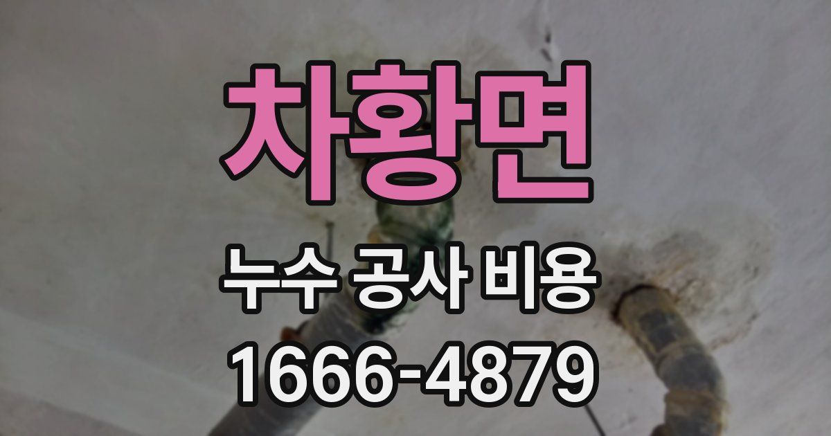 차황면 누수 공사 비용