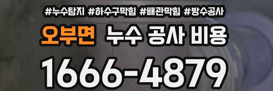 오부면 누수 공사 비용