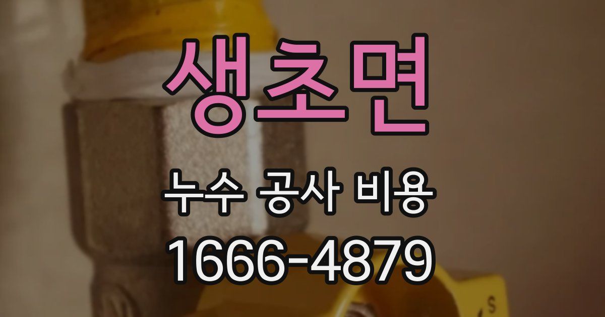 생초면 누수 공사 비용
