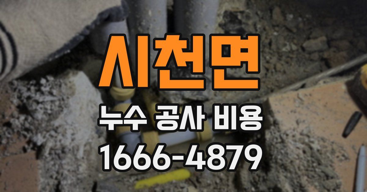 시천면 누수 공사 비용