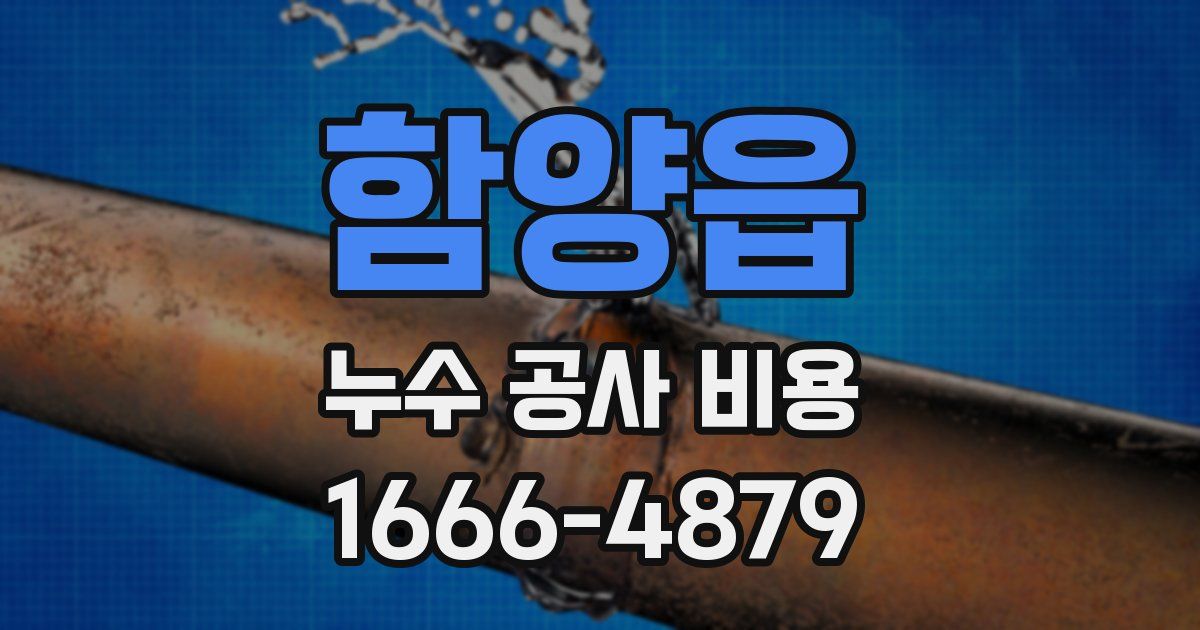 함양읍 누수 공사 비용