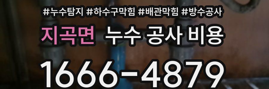 지곡면 누수 공사 비용