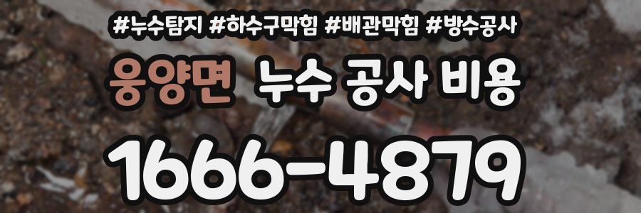 웅양면 누수 공사 비용