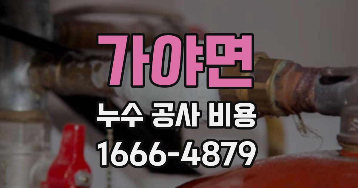 가야면 누수 공사 비용