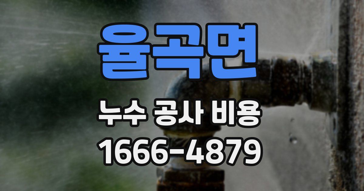 율곡면 누수 공사 비용