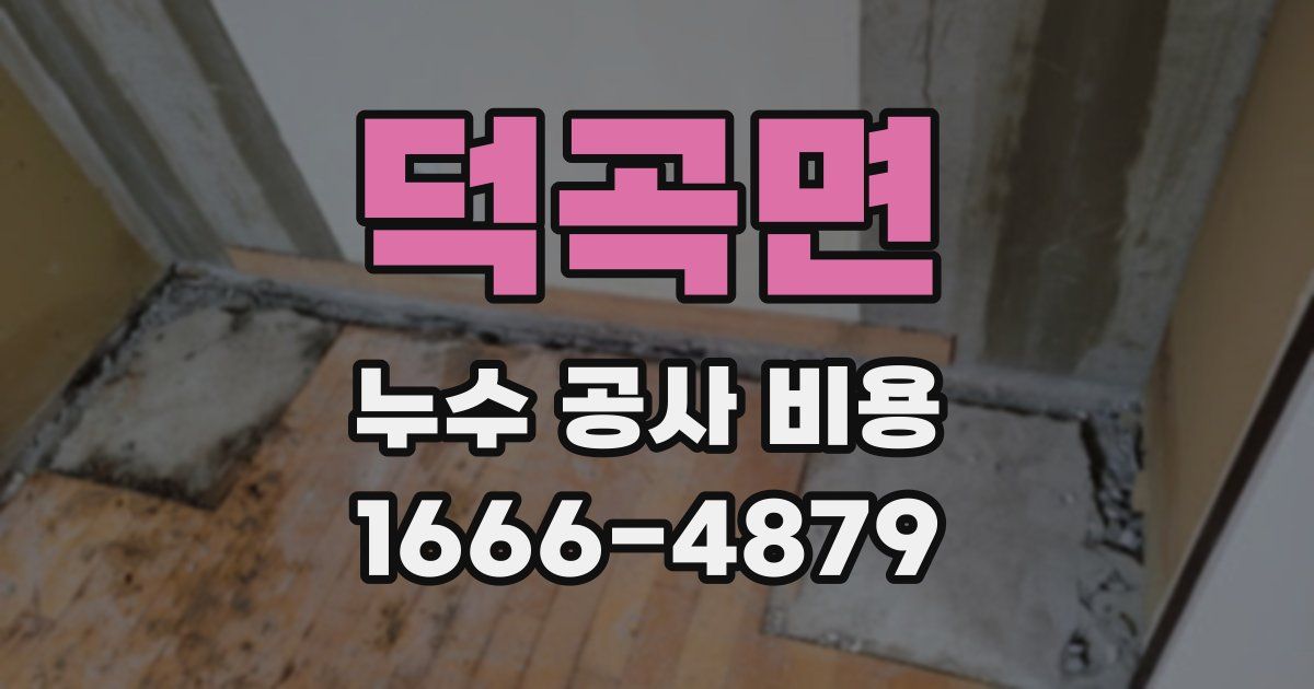 덕곡면 누수 공사 비용
