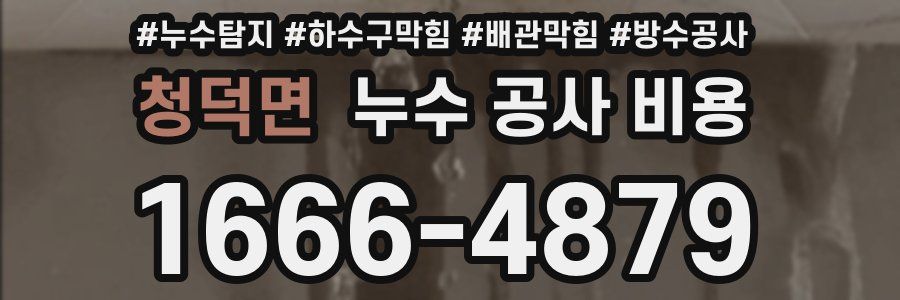 청덕면 누수 공사 비용