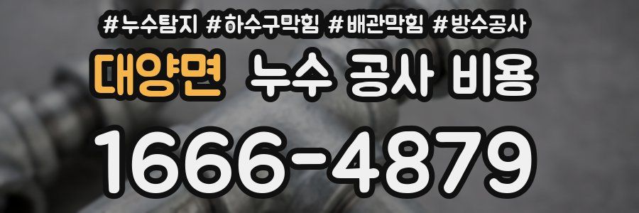 대양면 누수 공사 비용