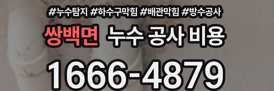 쌍백면 누수 공사 비용