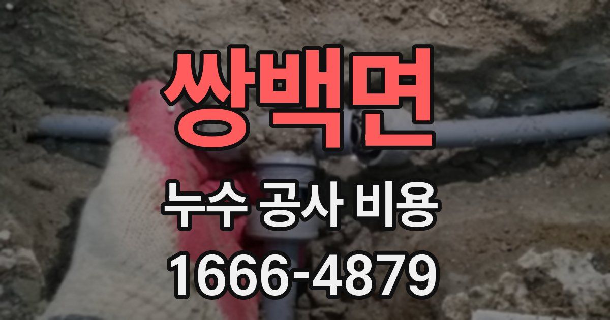 쌍백면 누수 공사 비용