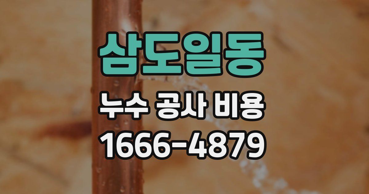 삼도일동 누수 공사 비용