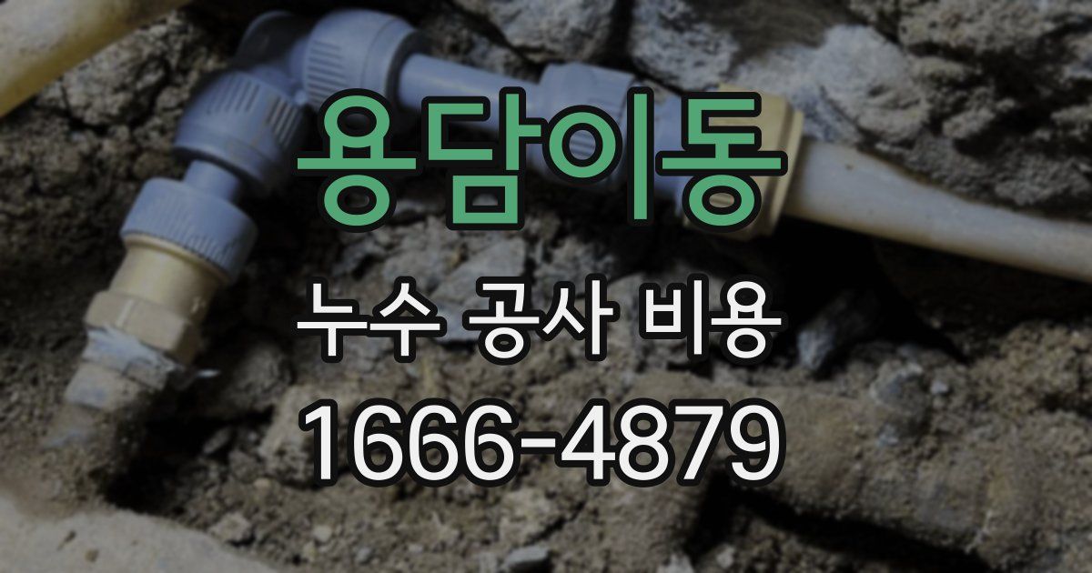 용담이동 누수 공사 비용