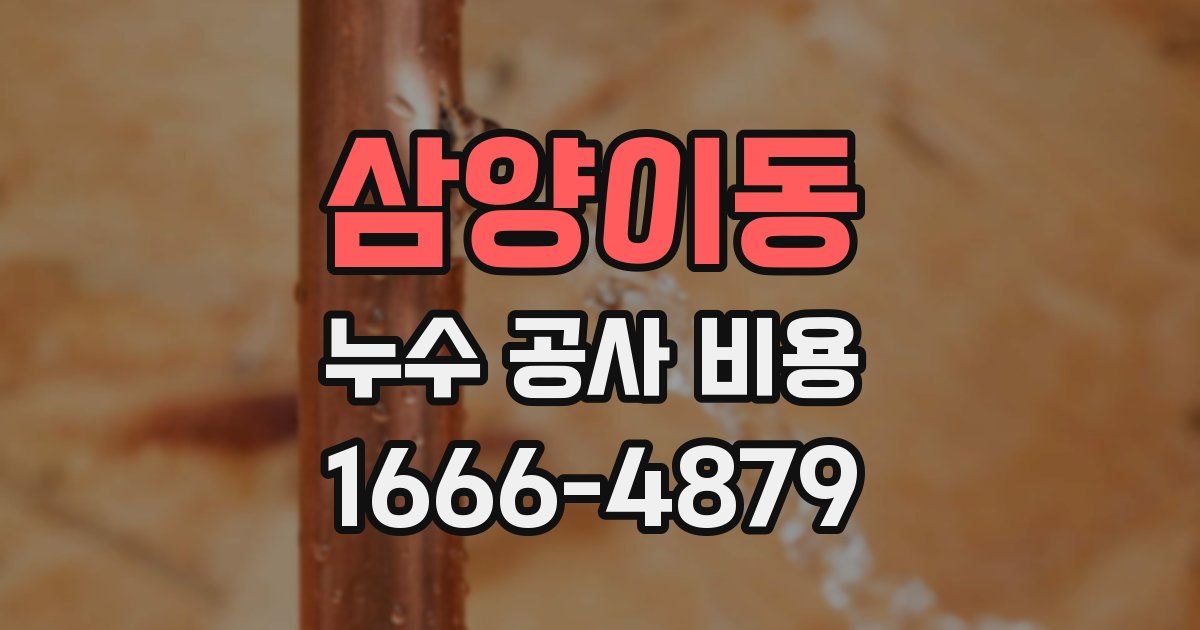 삼양이동 누수 공사 비용